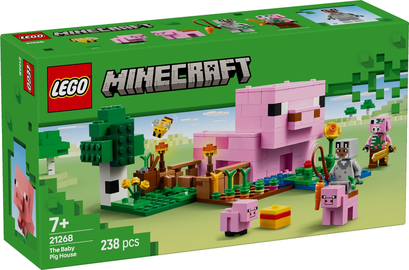 LEGO 21268 box