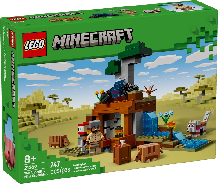 LEGO 21269 box