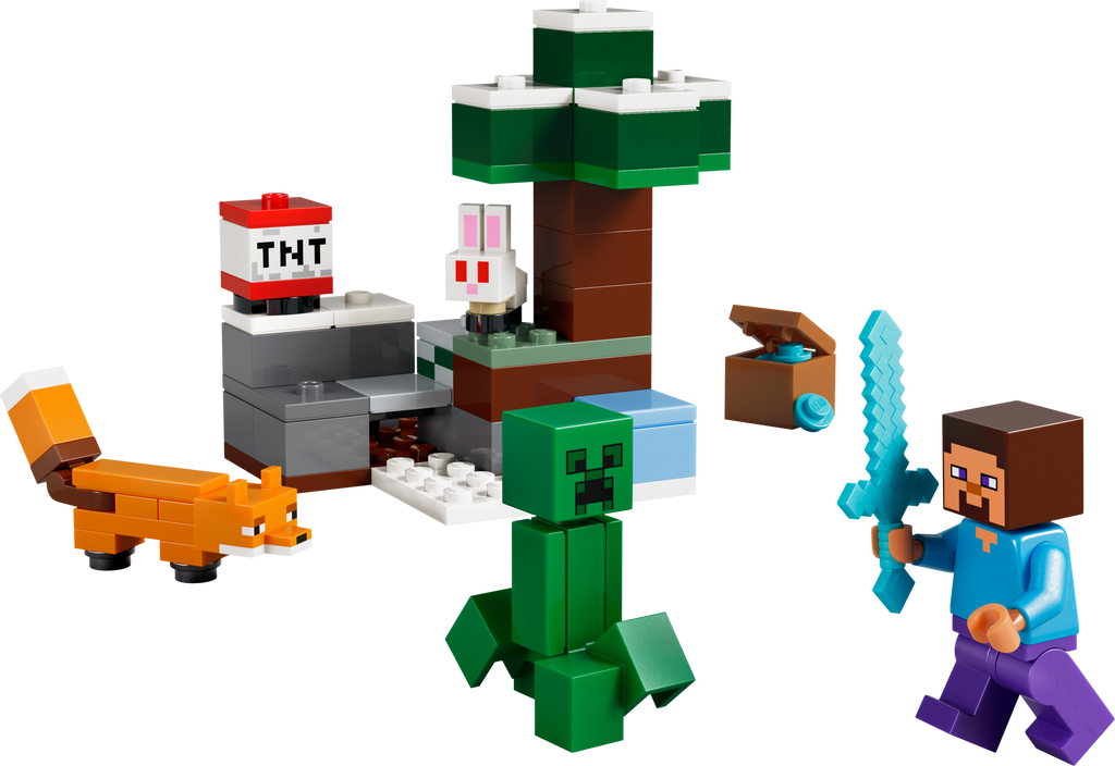 LEGO 21583 set