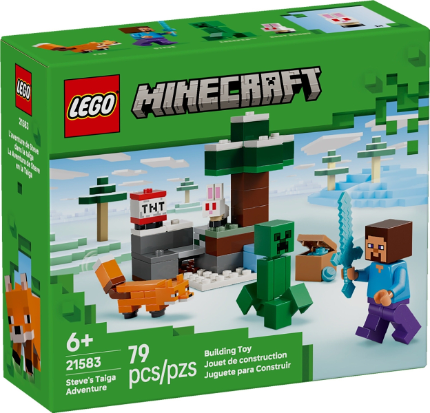 LEGO 21583 box