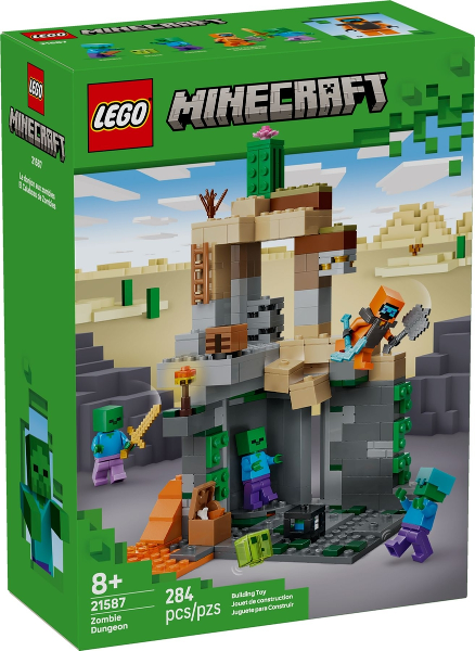 LEGO 21587 box