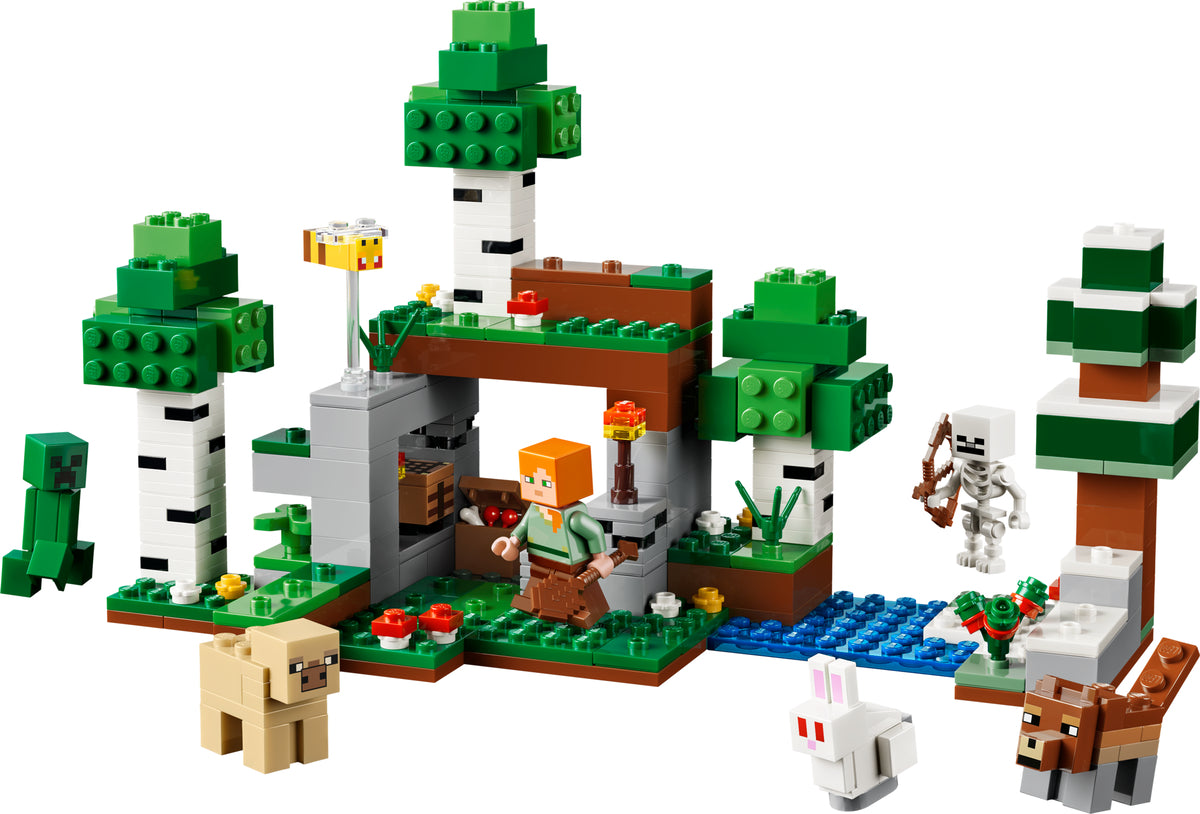 LEGO 21593 set