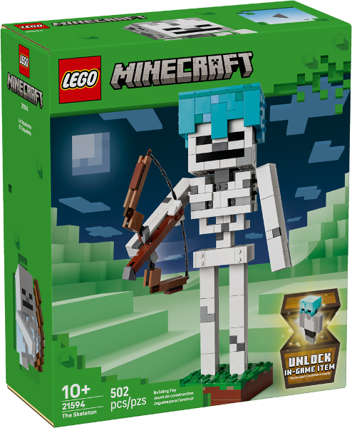 LEGO 21594 box