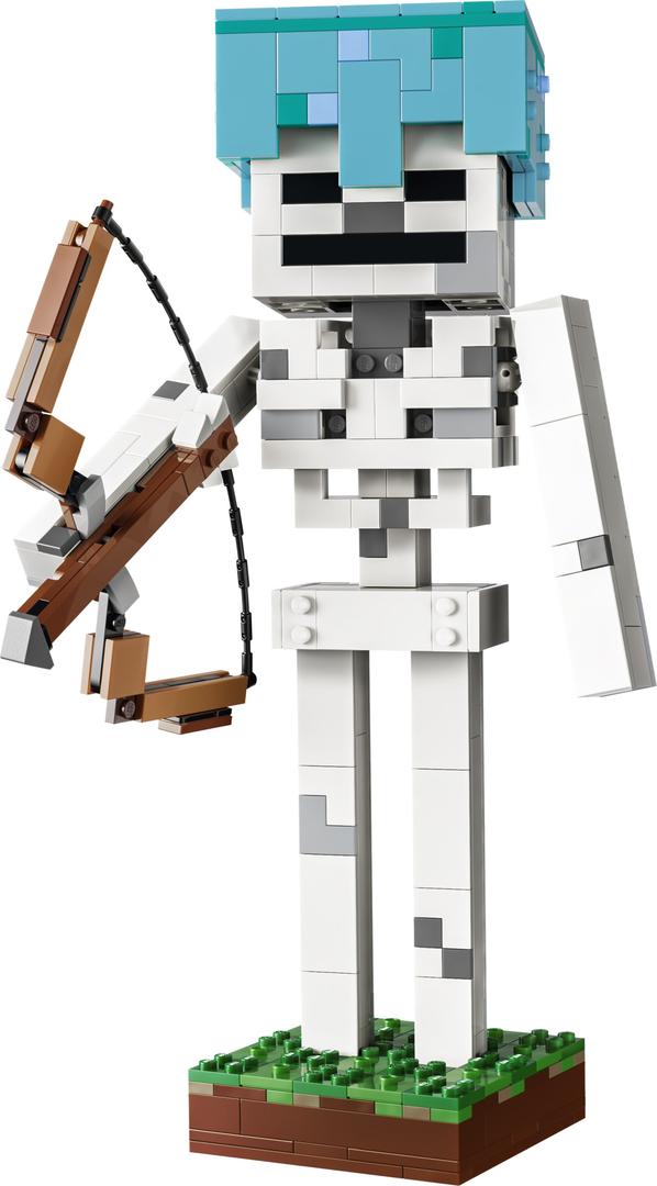 LEGO 21594 set