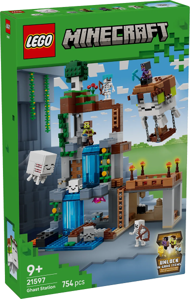 LEGO 21597 box