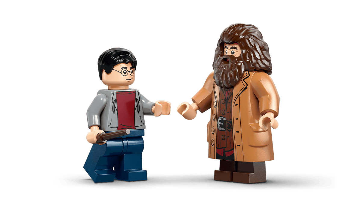 LEGO 76459 Hagrid & Harry's Privet Drive Escape – detail