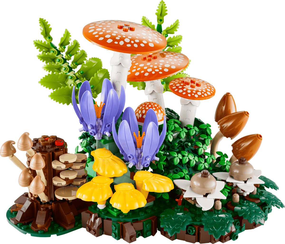 LEGO 11505 Woodland Mushrooms – set